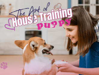 The Art of House Training a Puppy