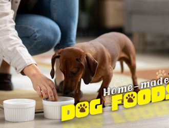 Pawsitively Tasty- Crafting Home-made Dog Food